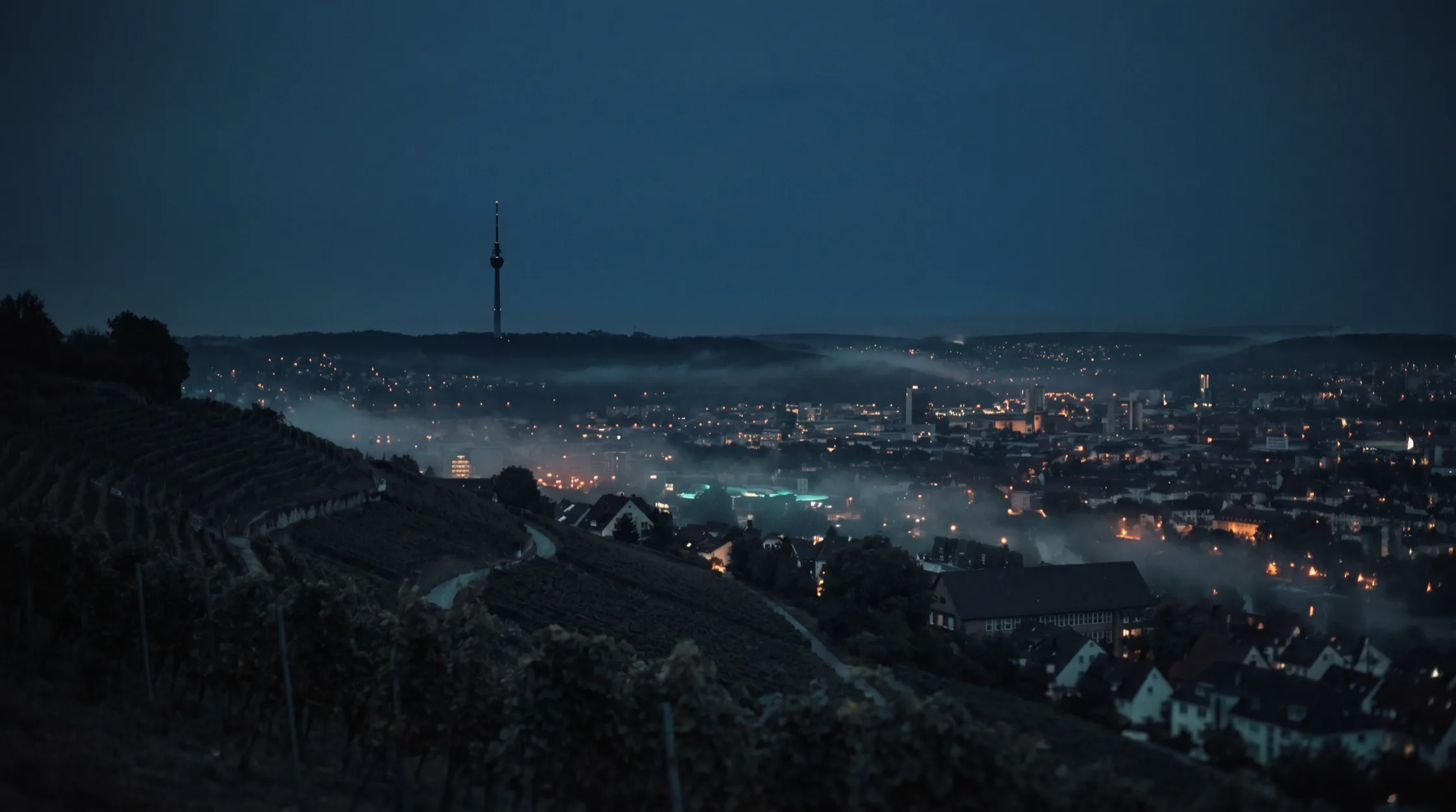 Stuttgart at blue hour — TV tower above vineyards, mist over the valley
